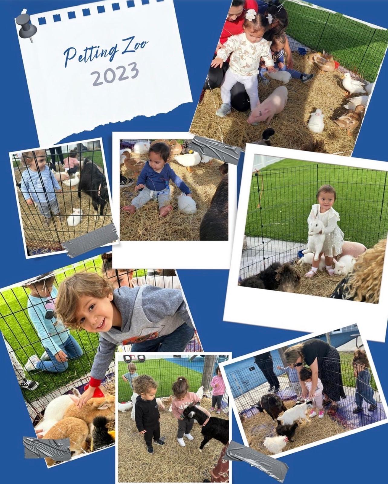 Petting zoo day at Learn and Smile